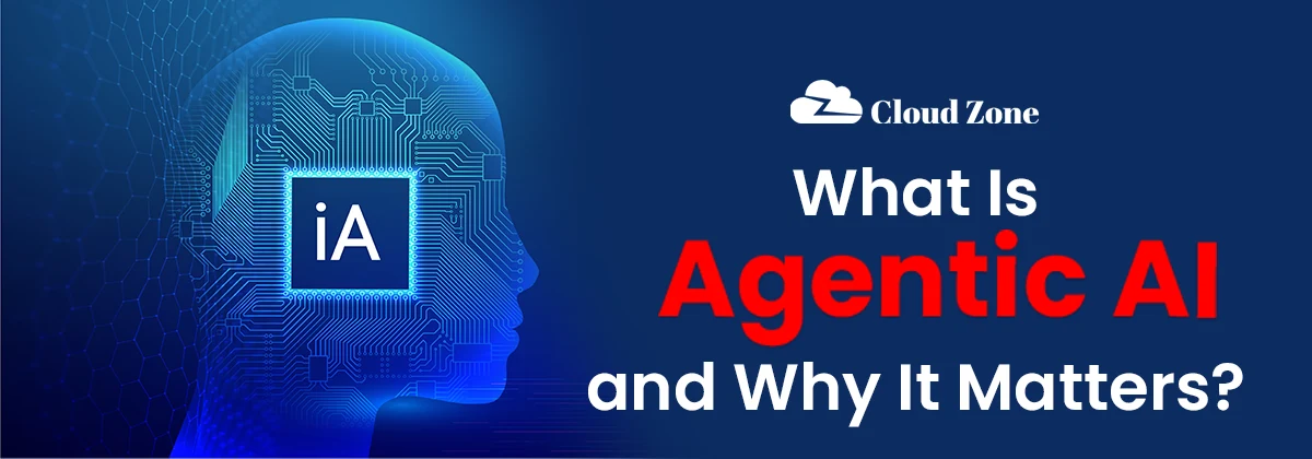 what is agentic ai